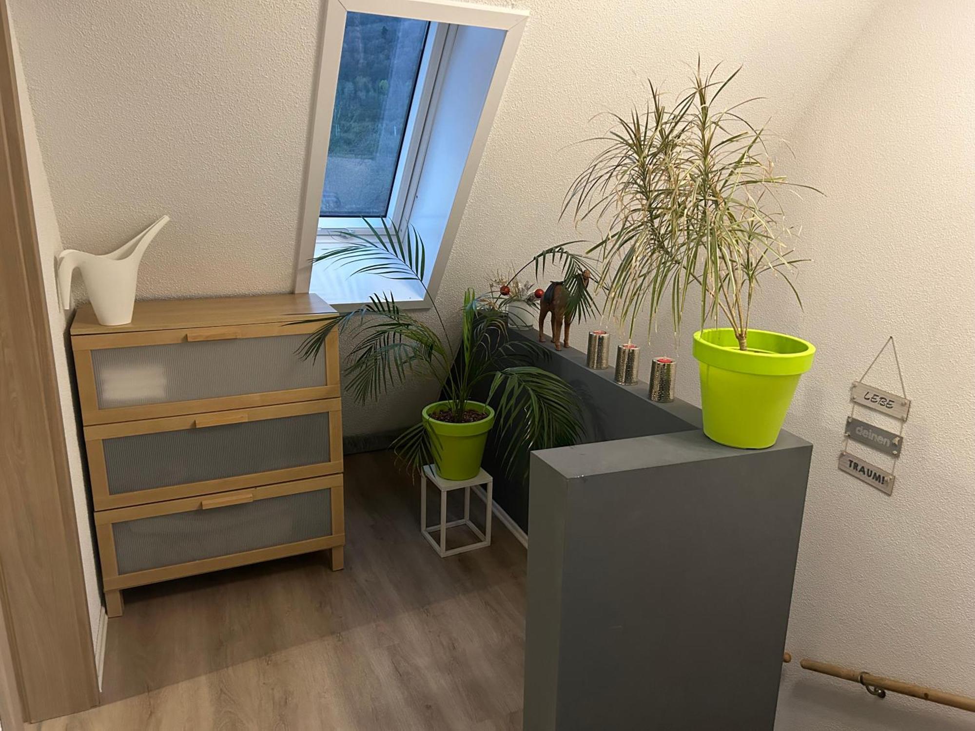 Ferienhaus Ayna, Direkt An Der Schweizer Grenze Bad Säckingen Zewnętrze zdjęcie
